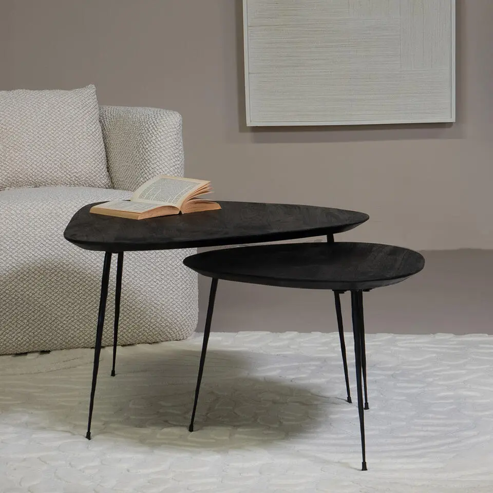 Salontafel Organisch - Zwart Mangohout - Set Van 2 - Remi