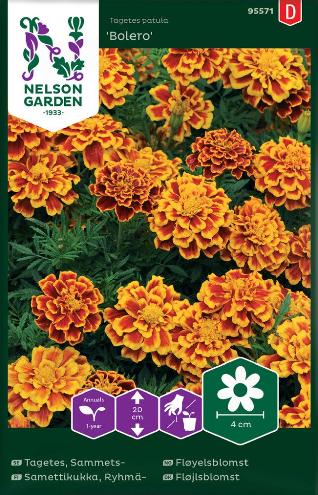 BLOMSTERFRØ NELSON GARDEN FLØYELSBLOMST BOLERO