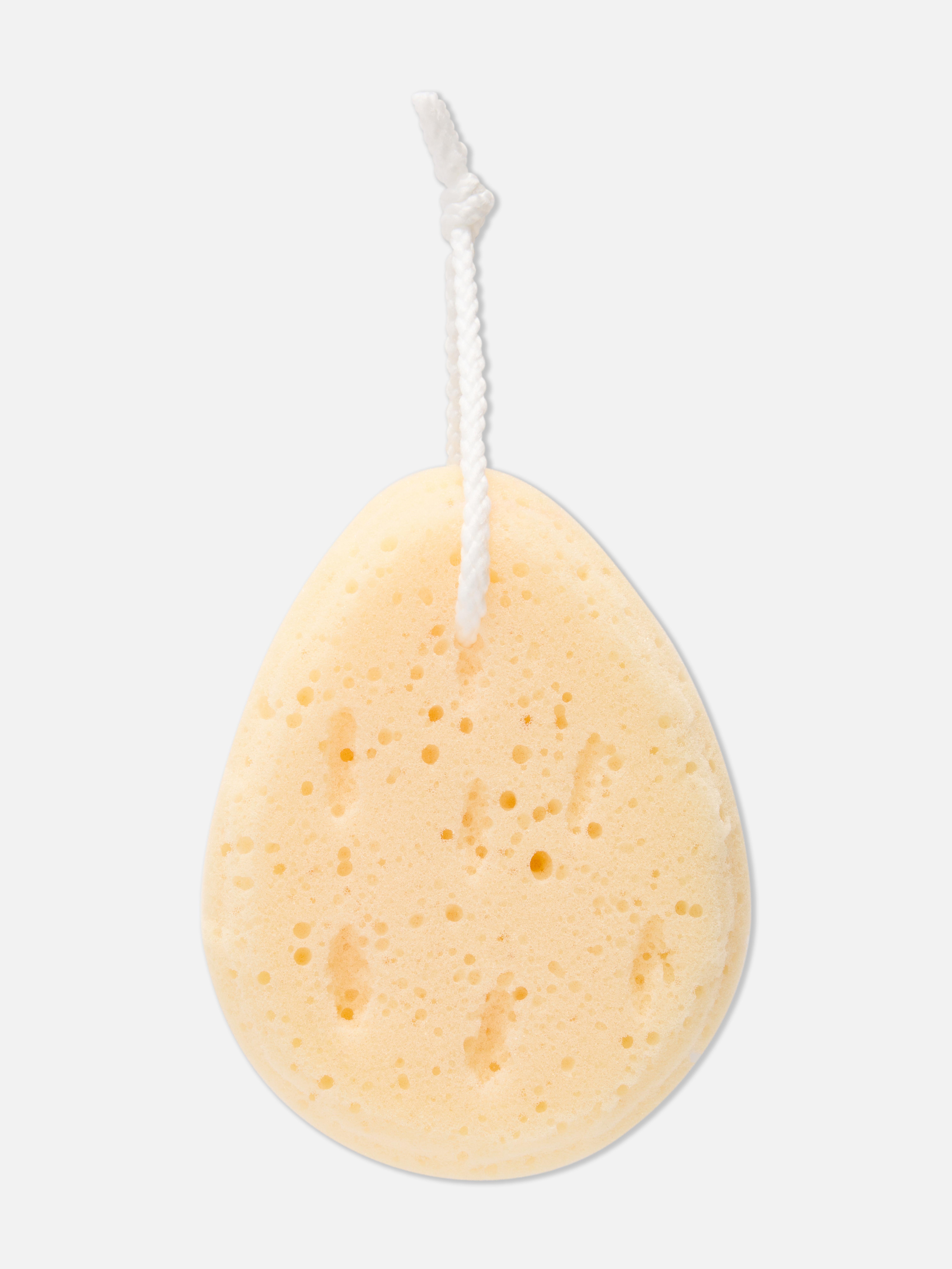 Shower Sponge