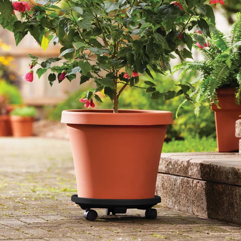Bloem Round Plant Stand Caddy with Wheels, 12-in, Black