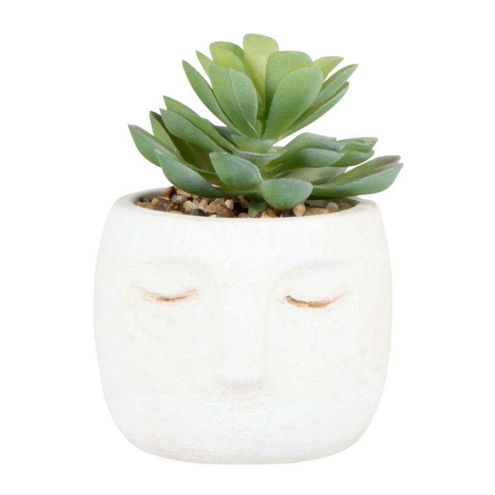 - Succulente artificielle et pot en ciment blanc
