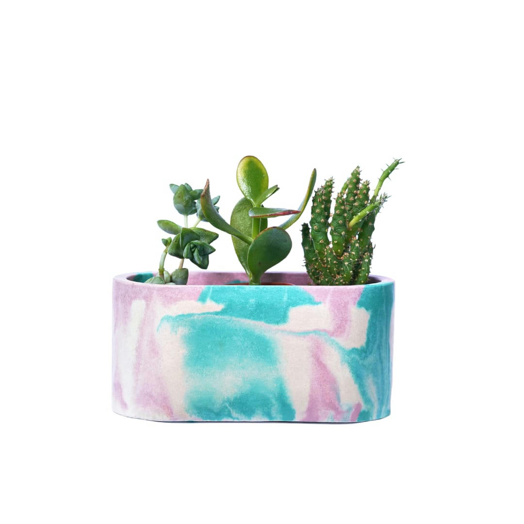 MINI JARDI TIE&DYE - Mini jardinière tie&dye béton rose et turquoise
