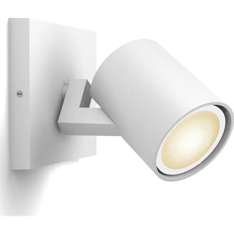 Spot Philips Hue