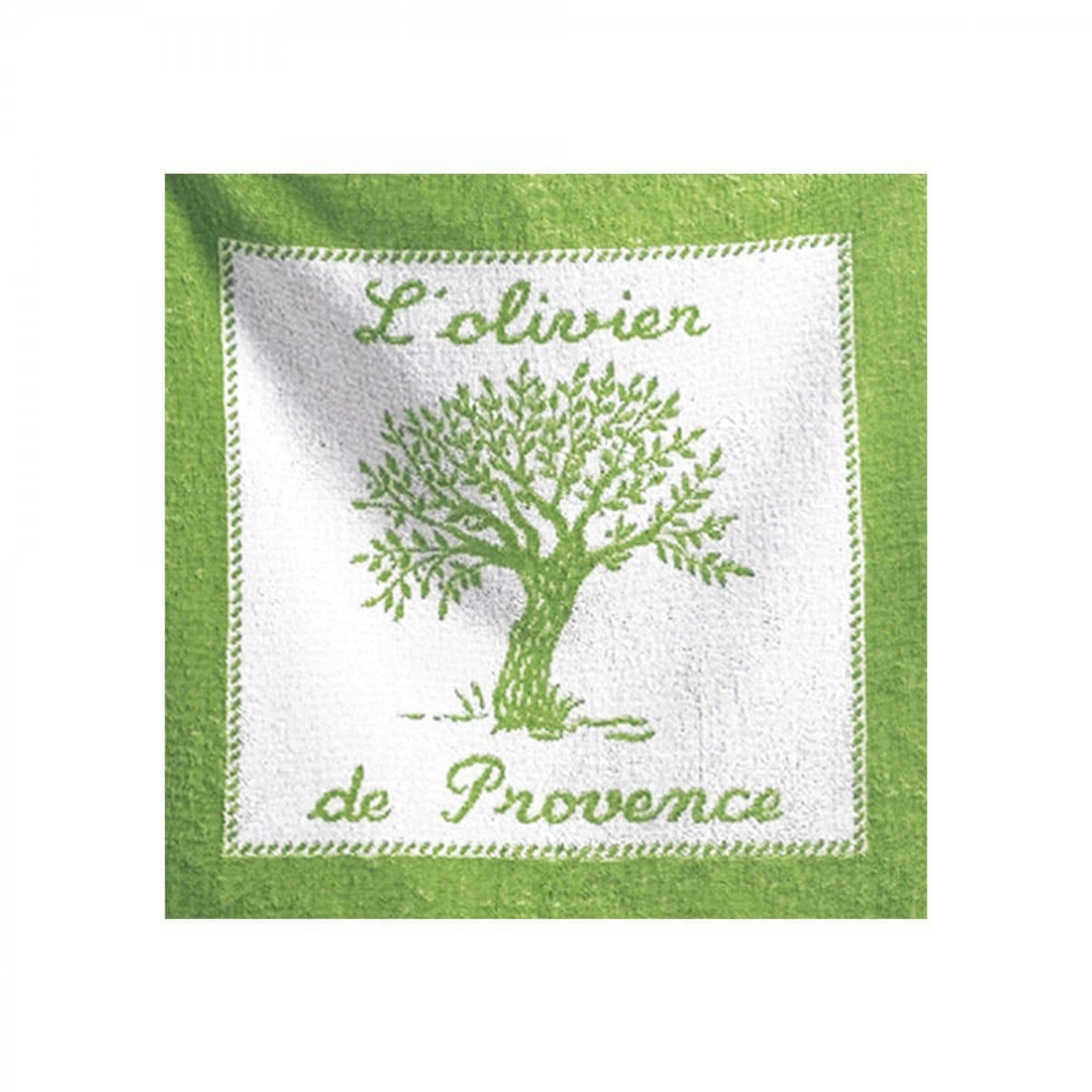 OLIVIER AMANDE - Carré éponge en coton vert 50x50