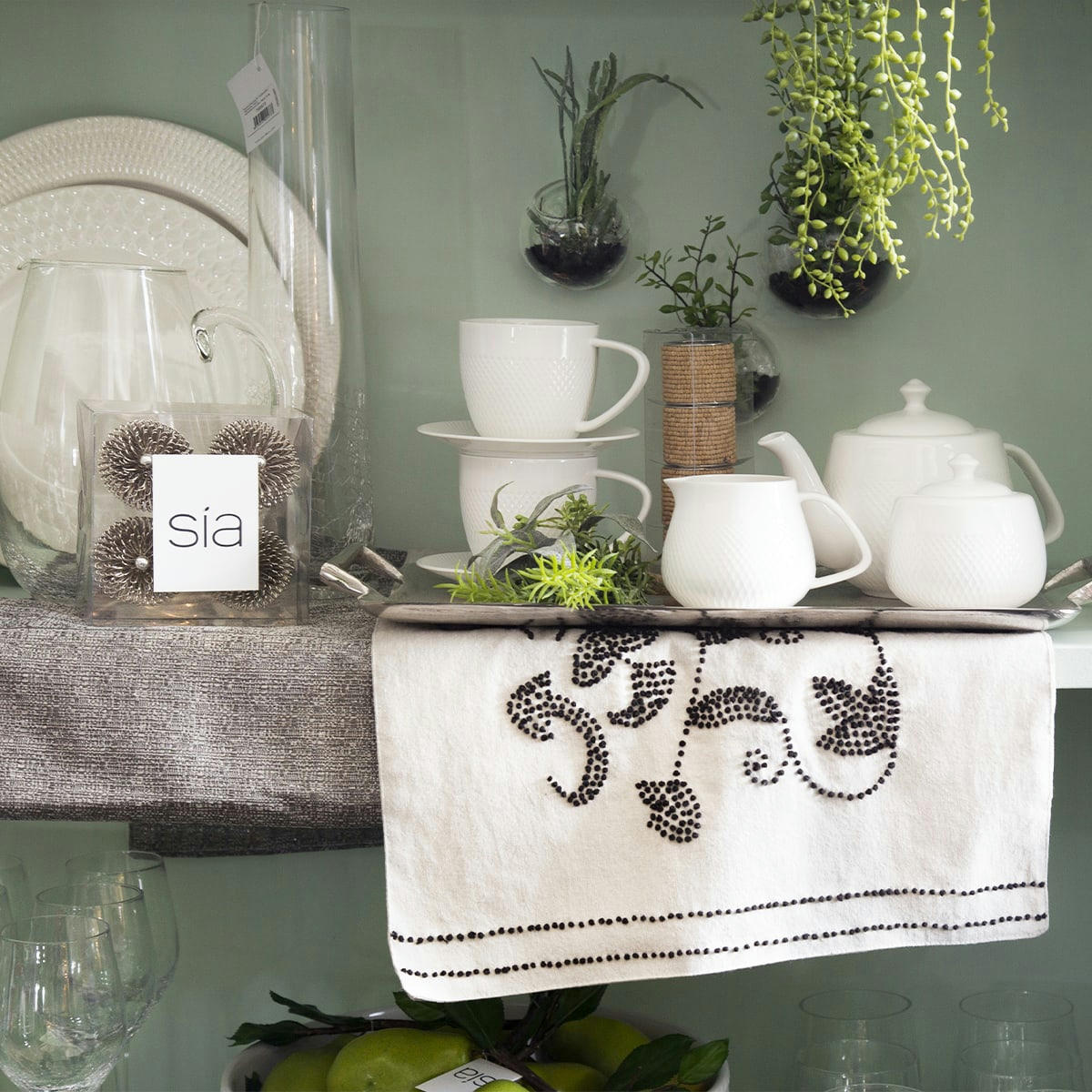 - Terrarium avec sedum