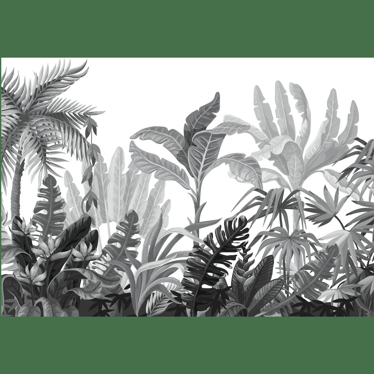 - Papier Peint jungle humide 250x360cm