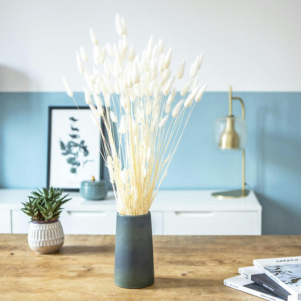 LAGURUS - Botte de fleurs séchées lagurus ovatus blanc (env. 100 tiges)