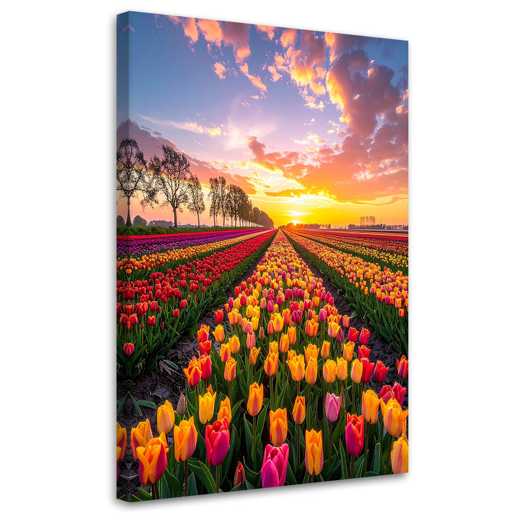 Obraz do salonu sypialni biura, Tulipany kwiaty łąka widok 20x30