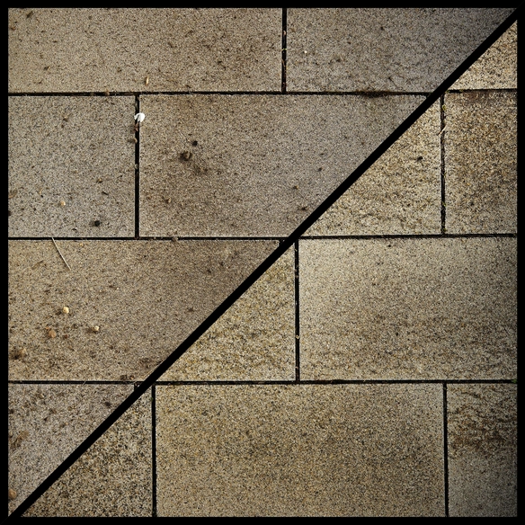 Bürste »MEDIUM«, schwarz, Arbeitsbreite: 21,5 cm, 0,75 kg