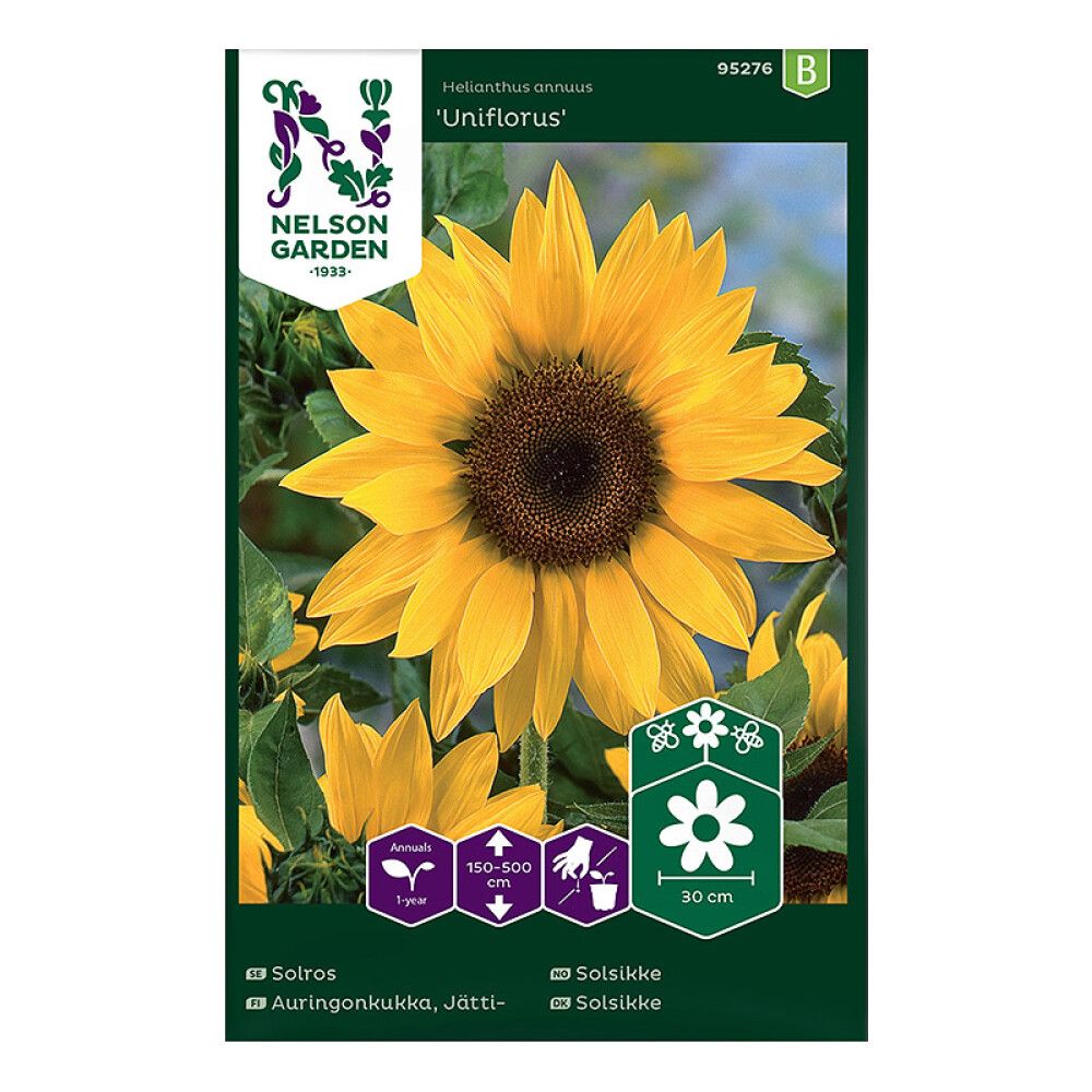 BLOMSTERFRØ NELSON GARDEN SOLSIKKE SOLROS UNIFLORUS GUL