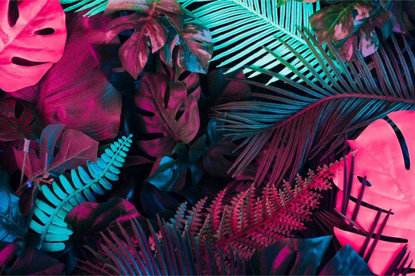 Fototapeta Neonowe LIŚCIE Tropikalne 3D 90x60cm
