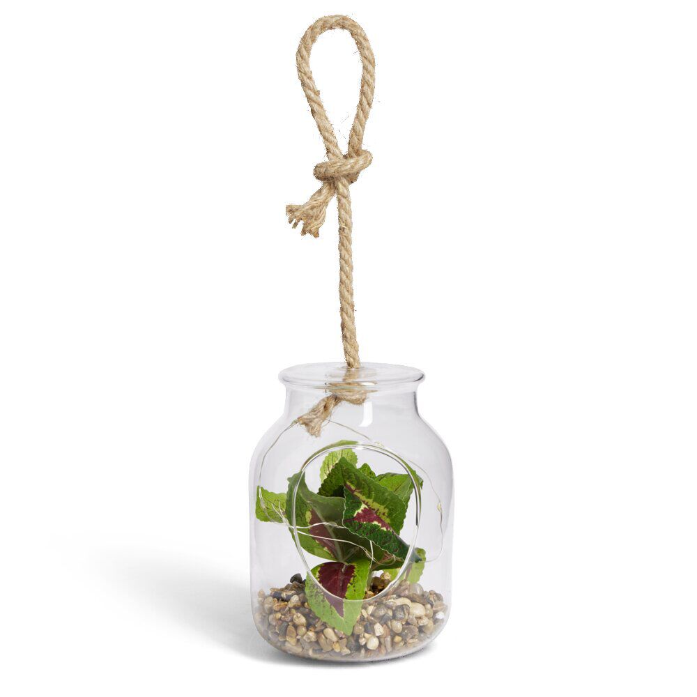Pot en verre LED avec plante artificielle succulente Ø11,5xH15,5cm