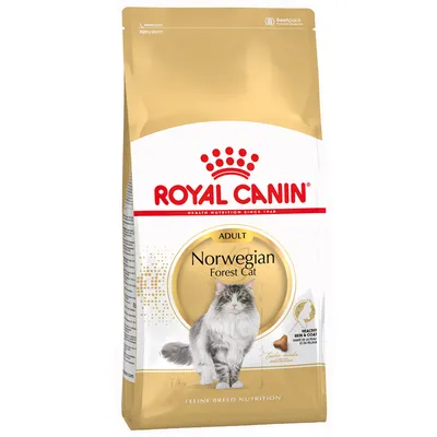 Royal Canin Norwegian Forest Cat Adult
