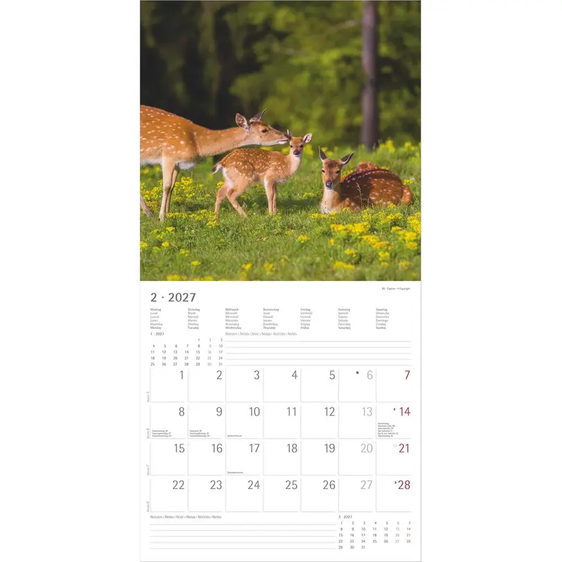 Geburtstagskalender Alpha edition