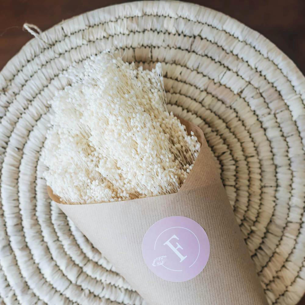 - Botte Broom bloom blanc