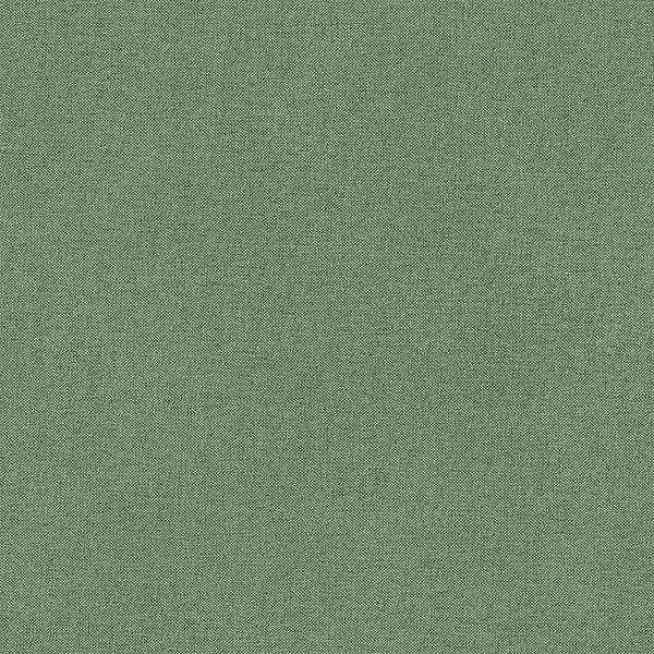 Papier peint vinyle intissé uni aspect tissu vert L.1005 x l.53cm GoodHome, Mythe