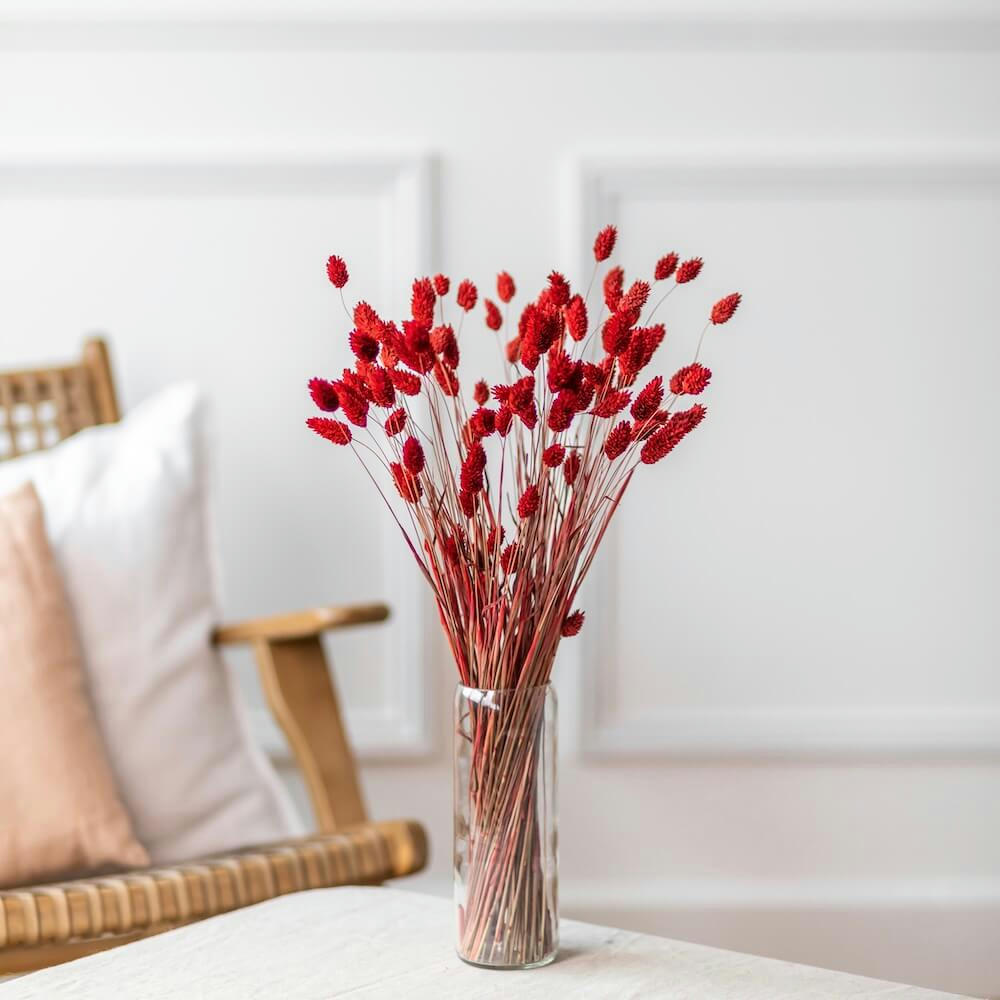 - Botte Phalaris rouge