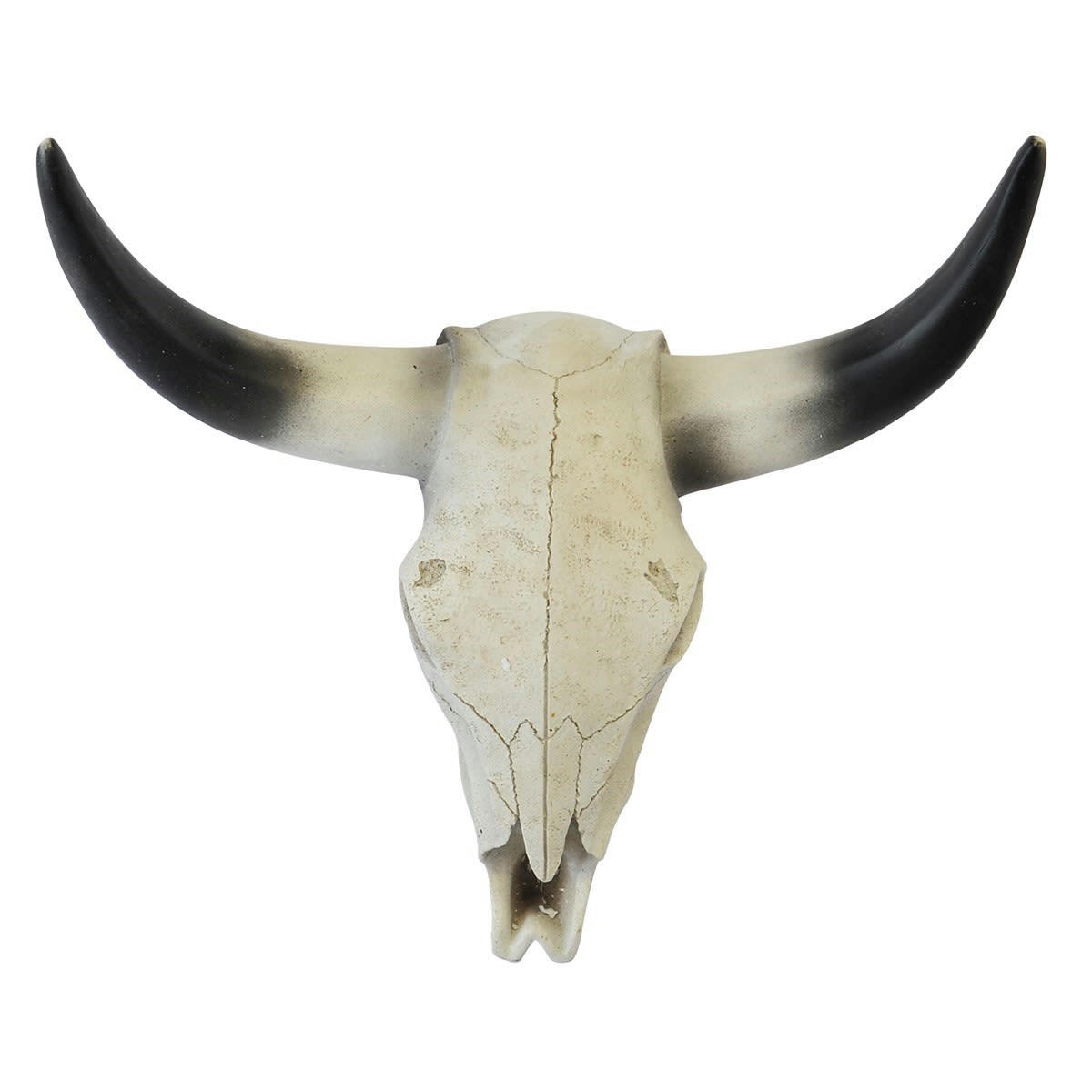 TROPHÉE BUFFLE - Crâne de buffle 39x13x36cm