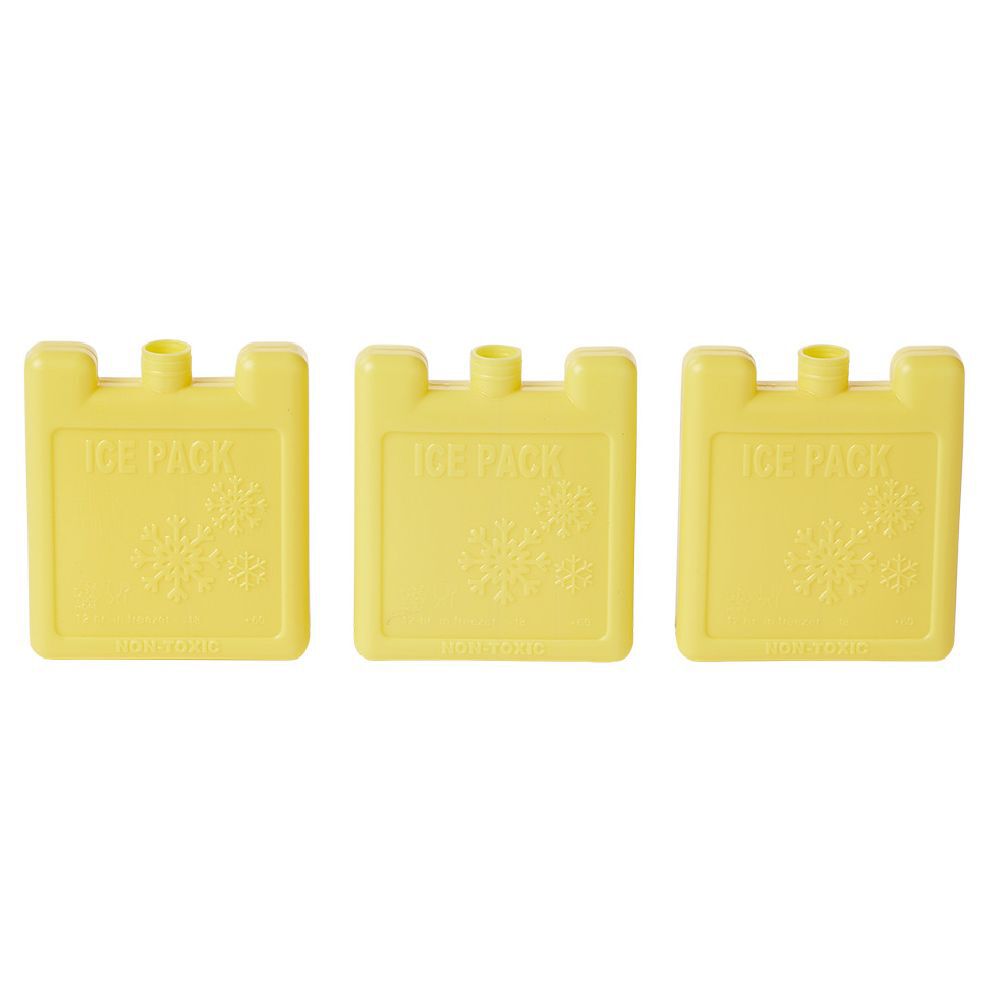 Bloc de glace x3 plastique 50ml (plusieurs modèles)