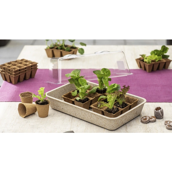 Anzuchtschale, Bambus/Spreu, natur, BxHxT: 24,2 x 6,5 x 24,5 cm