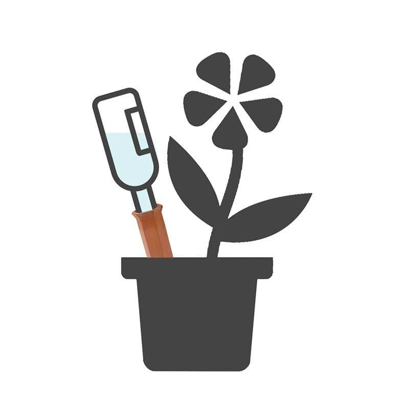 - Olla en terre cuite pour bouteille