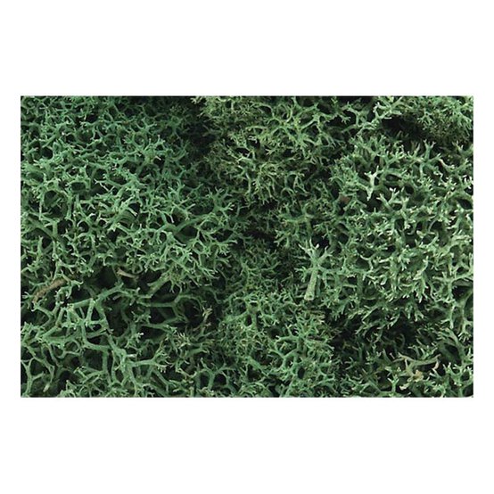 Woodland Scenics Lichen in Light Green