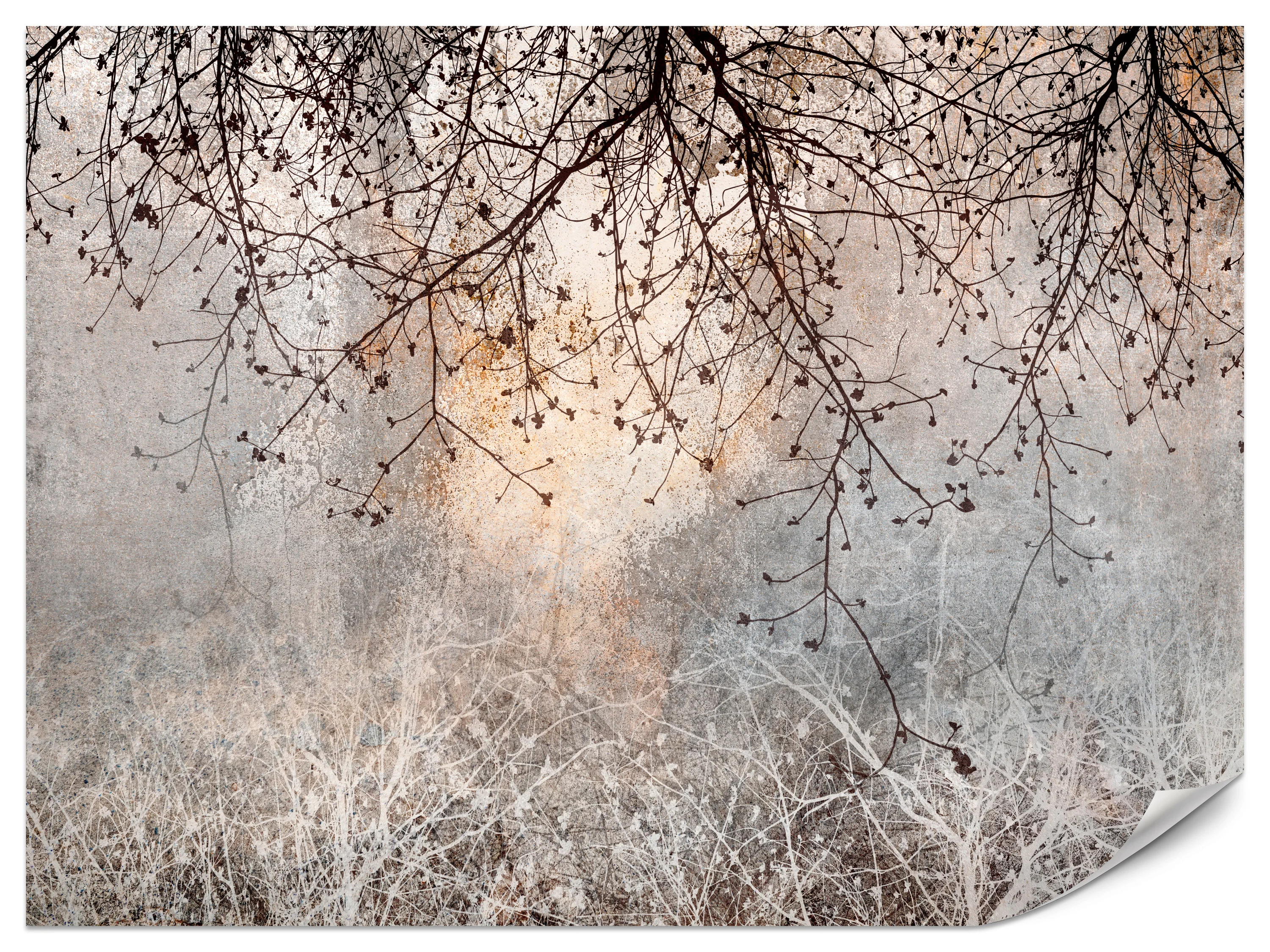Fototapeta Kwitnąca poświata 100x70cm