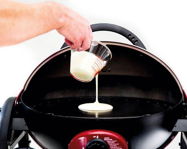 Ziegler & Brown Single Burner Portable Grill Cast Iron Full Hotplate