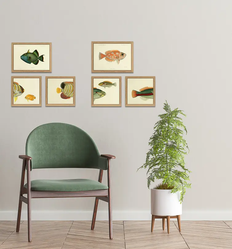 Bild mit Rahmen Botanical