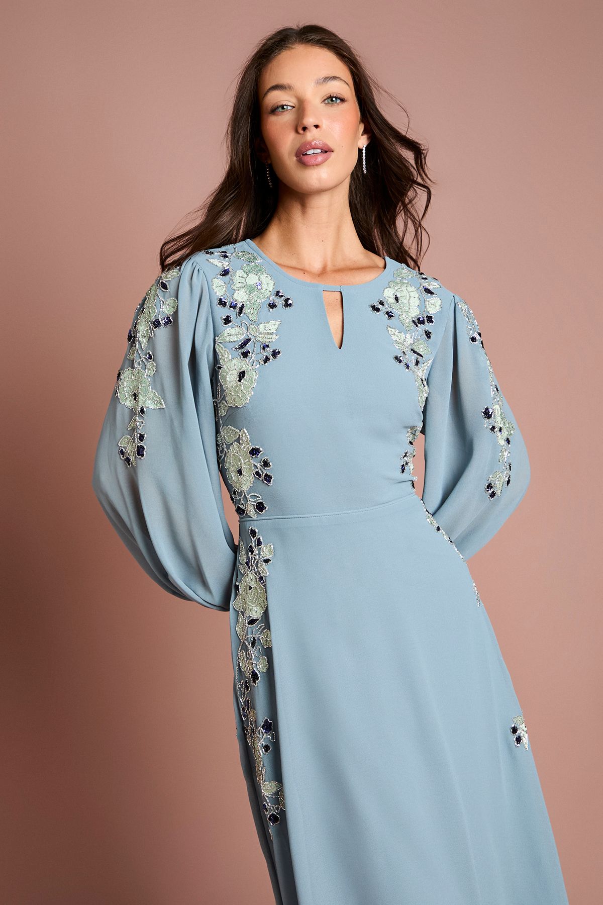 Coast Embroidered and Embellished Long Sleeve Midi Dress