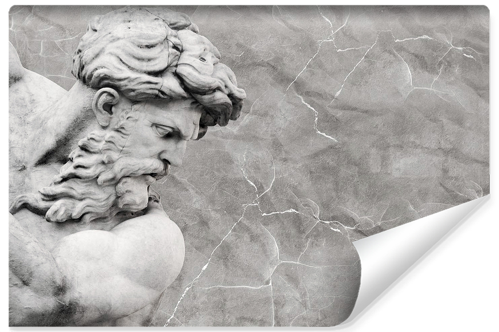 Fototapeta Ścienna NEPTUN Rzeźba Abstrakcja 90x60cm