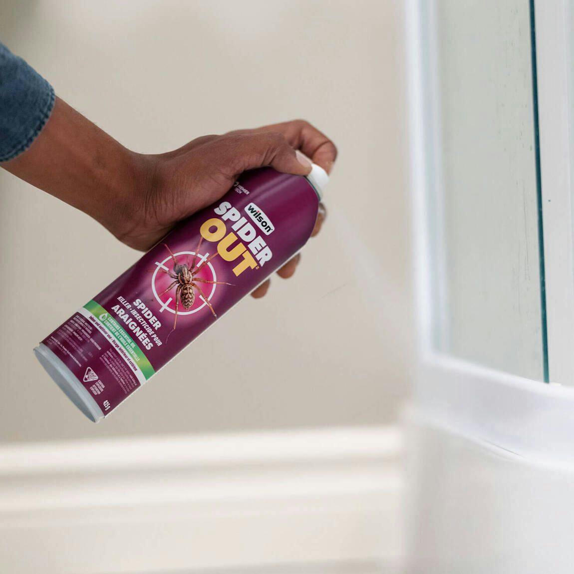 Wilson SpiderOut Indoor/Outdoor Spider Killer, Insecticide, Aerosol, 425-g