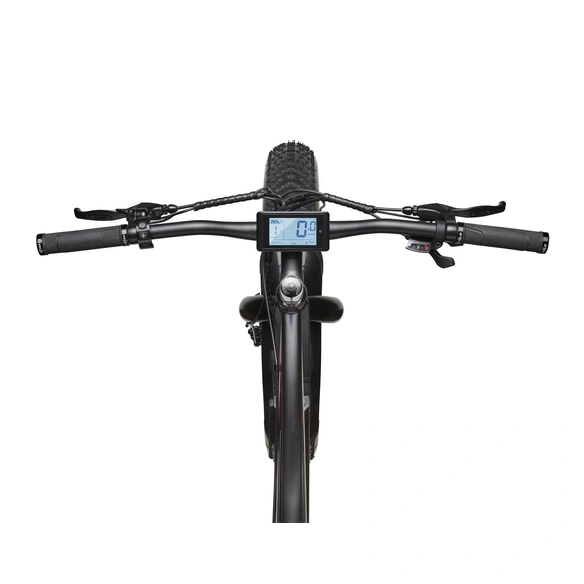 E-Bike Mountainbike 26 Zoll, RH: 48 cm, 8-Gang