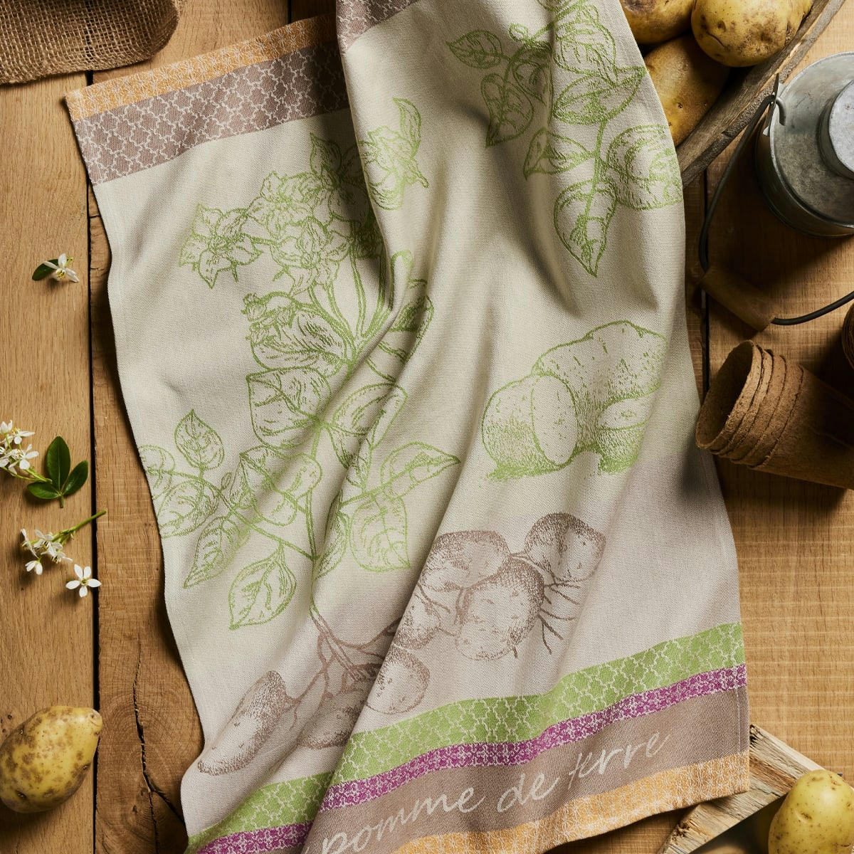 POMME DE TERRE - Torchon en coton beige 50x75