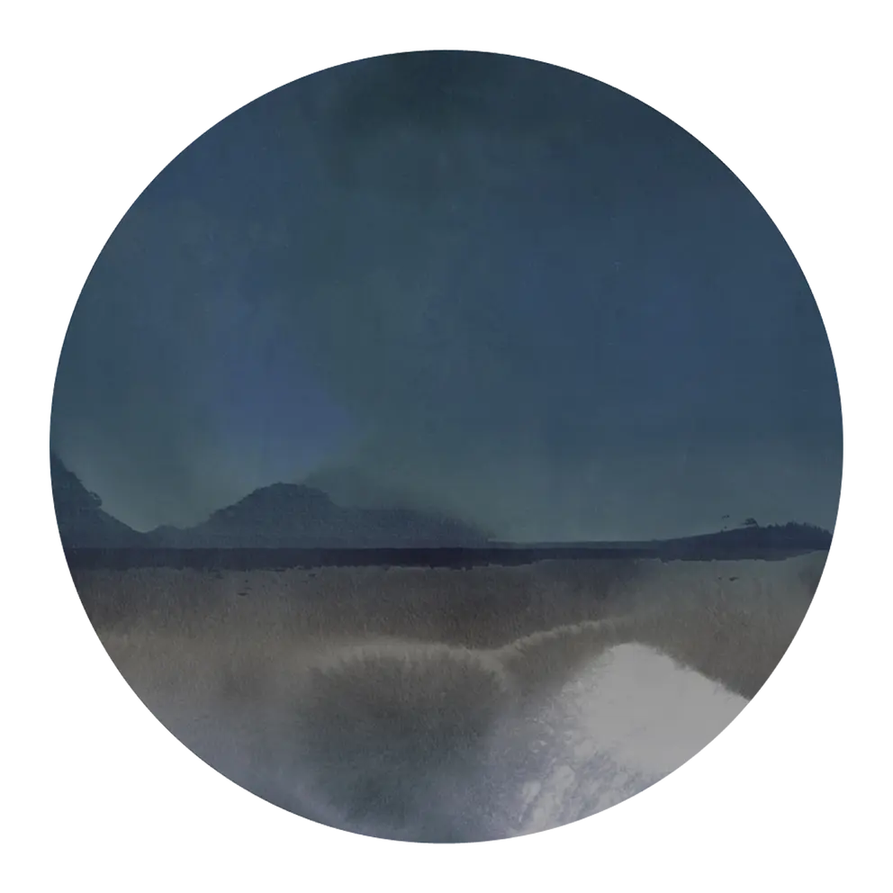 Kurzflorteppich Horizon Bay