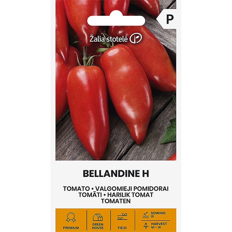 Tomat 'Bellandine' F1