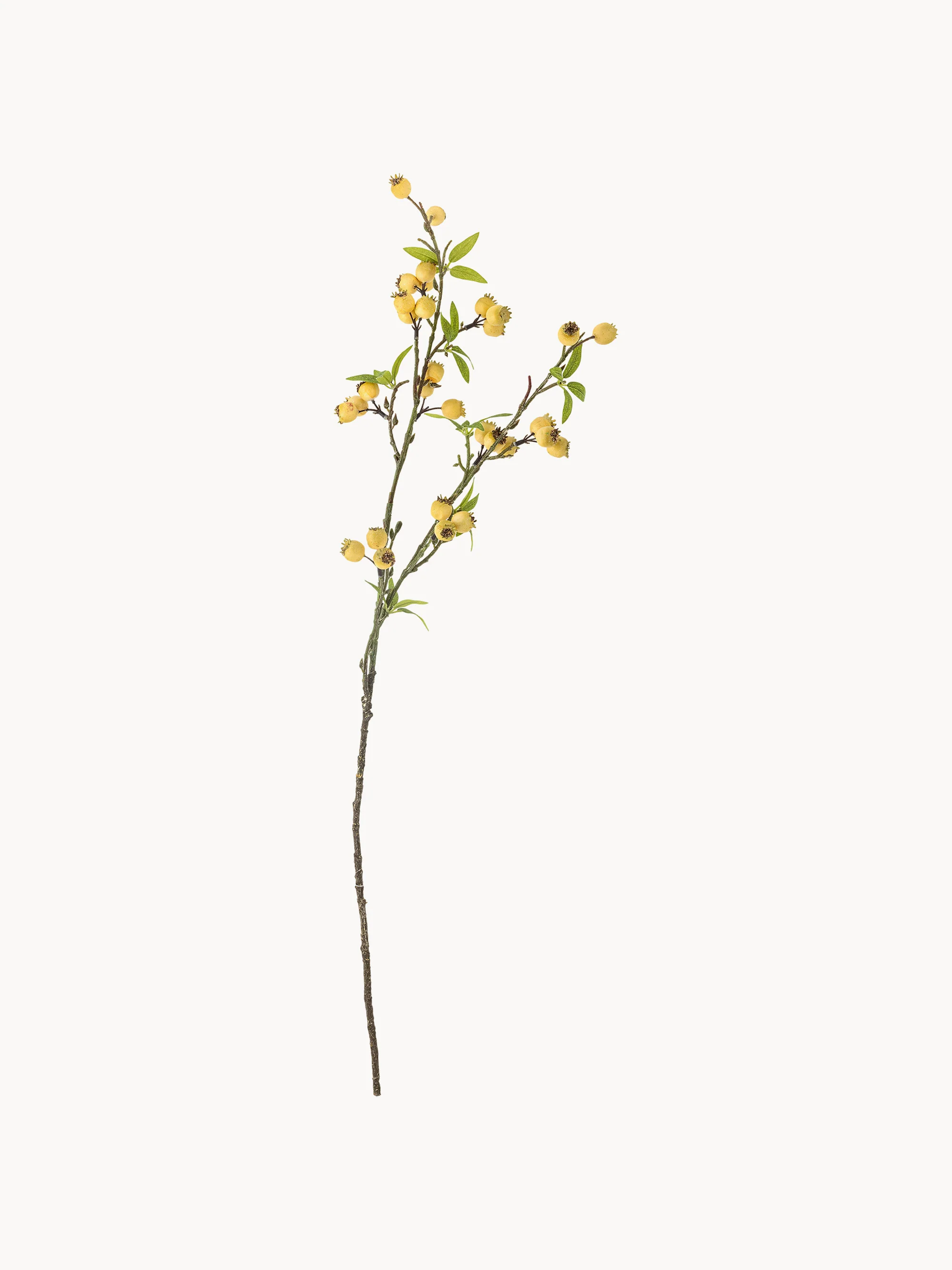 Kunstblume Hawthorn