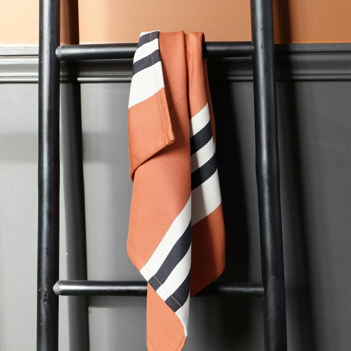 AINHOA - Serviette de table coton Terracotta 50x50 cm