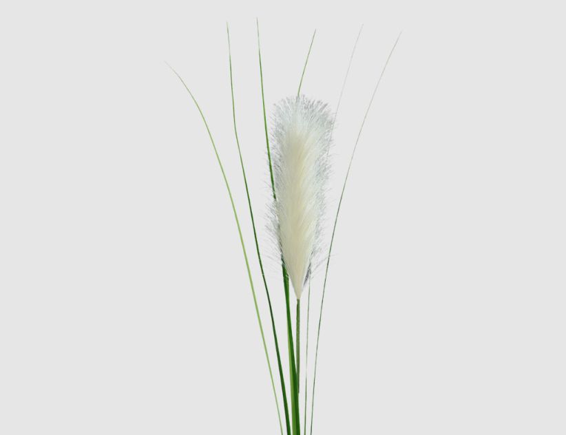 Kunstblume Pampasgras Creme