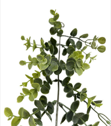72 Green Eucalyptus Garland by Bloom Room