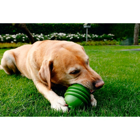 Hundespielzeug »Sumo Play«, grün, Gummi