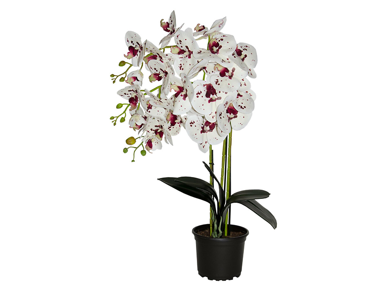 Sztuczny storczyk w doniczce 3 pędy 80 cm mix kolorów