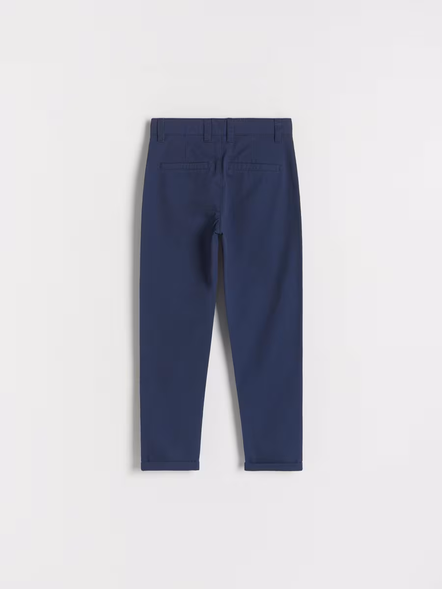 Regular Fit Chino Trousers