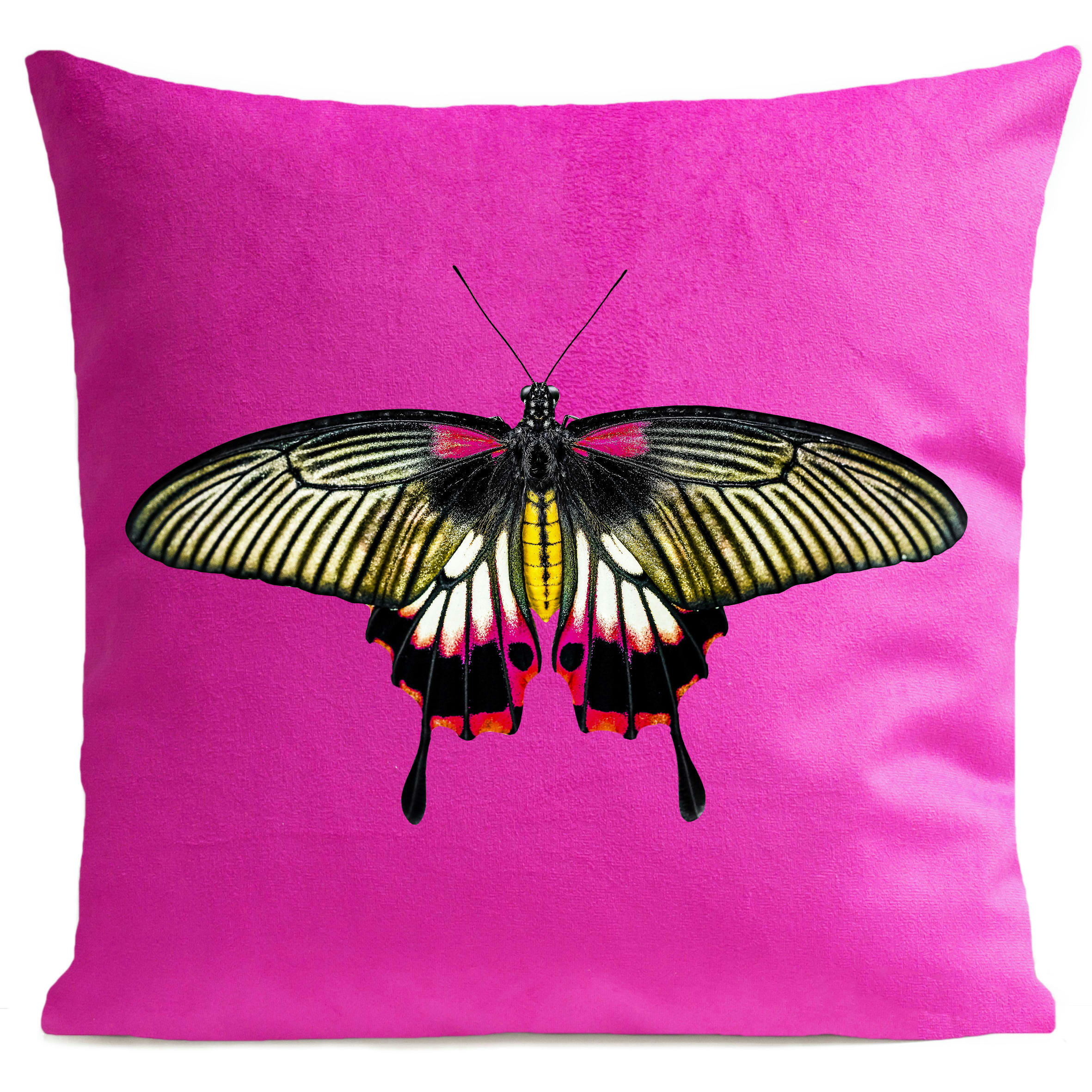 - Coussin papillon insecte suédine rose 40x40cm