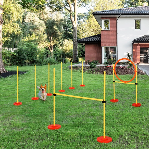 Agility Ausrüstung, gelb, für Hunde
