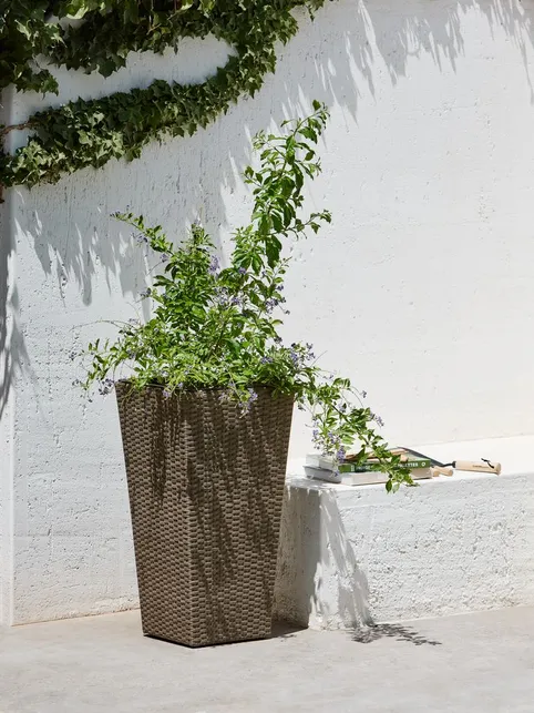 Plantekurv BLOMMOR B36xL36xH70 natur
