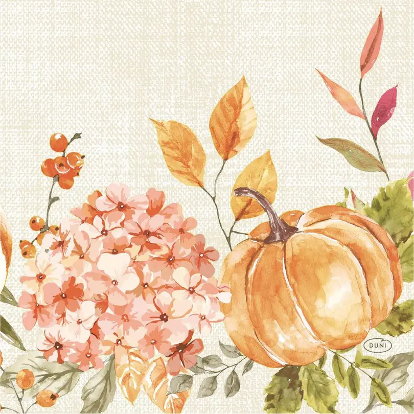 Serviette 50er-Set Spicy Pumpkin