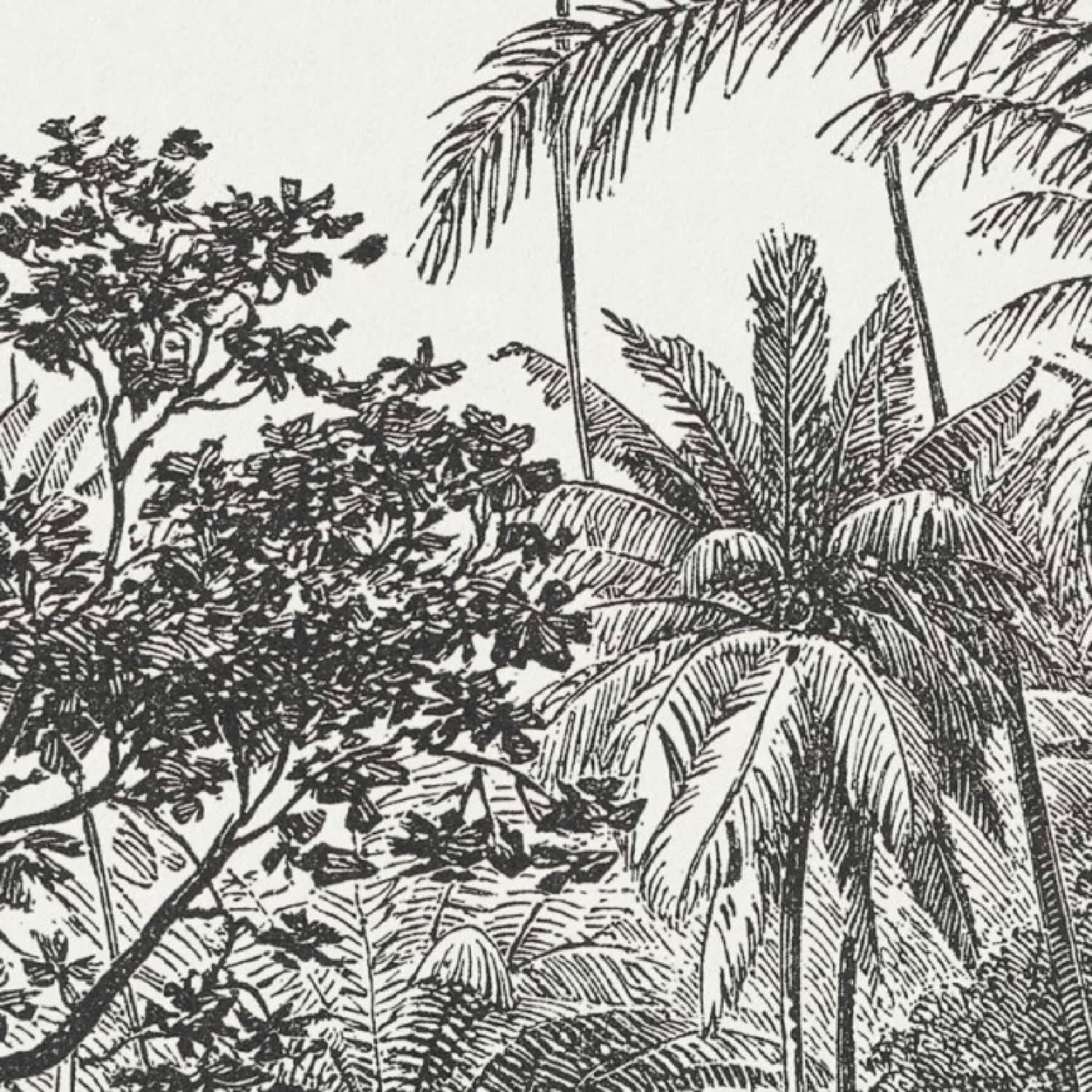 TAMBAPANNI - Papier Peint Panoramique L240xH270cm Noir Fresque Gravure