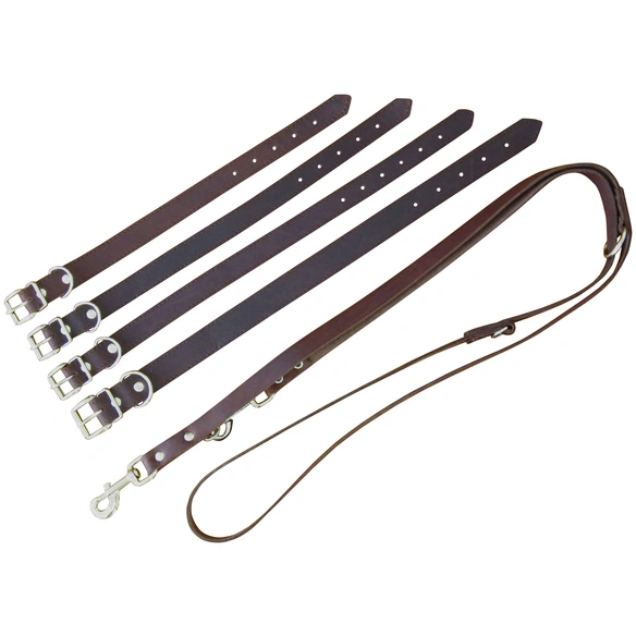 Hundehalsband, Größe: 40 cm, Rindsleder, braun
