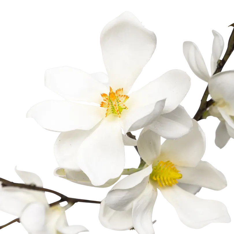 Kunstblume Magnolia